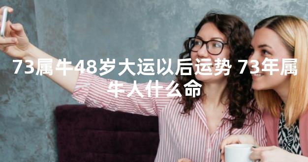 73属牛48岁大运以后运势 73年属牛人什么命